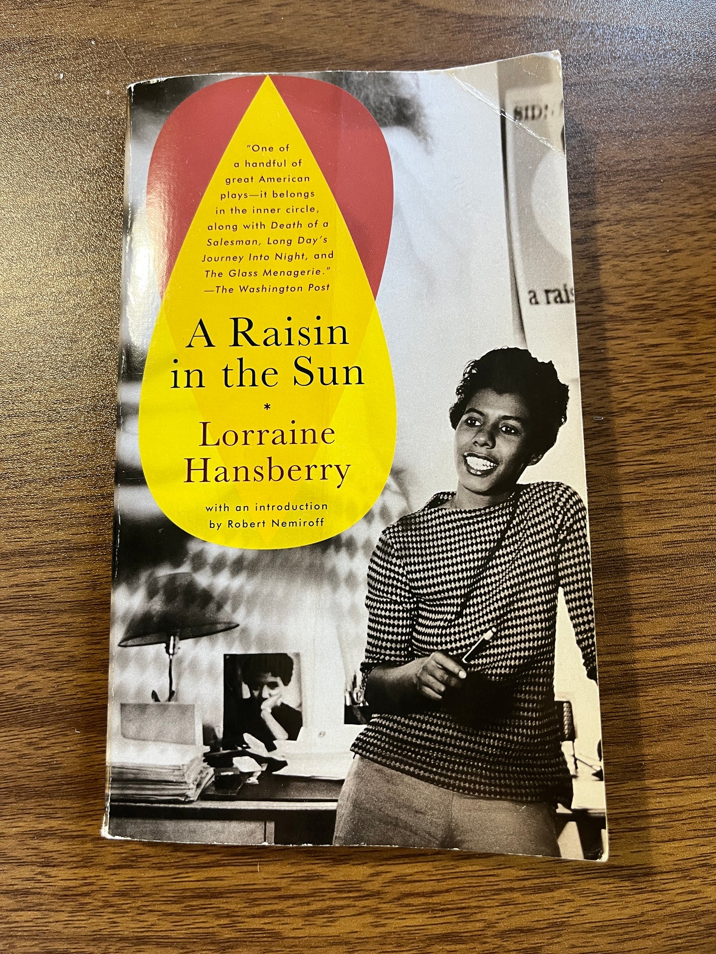 A Raisin in the Sun by Lorraine Hansberry