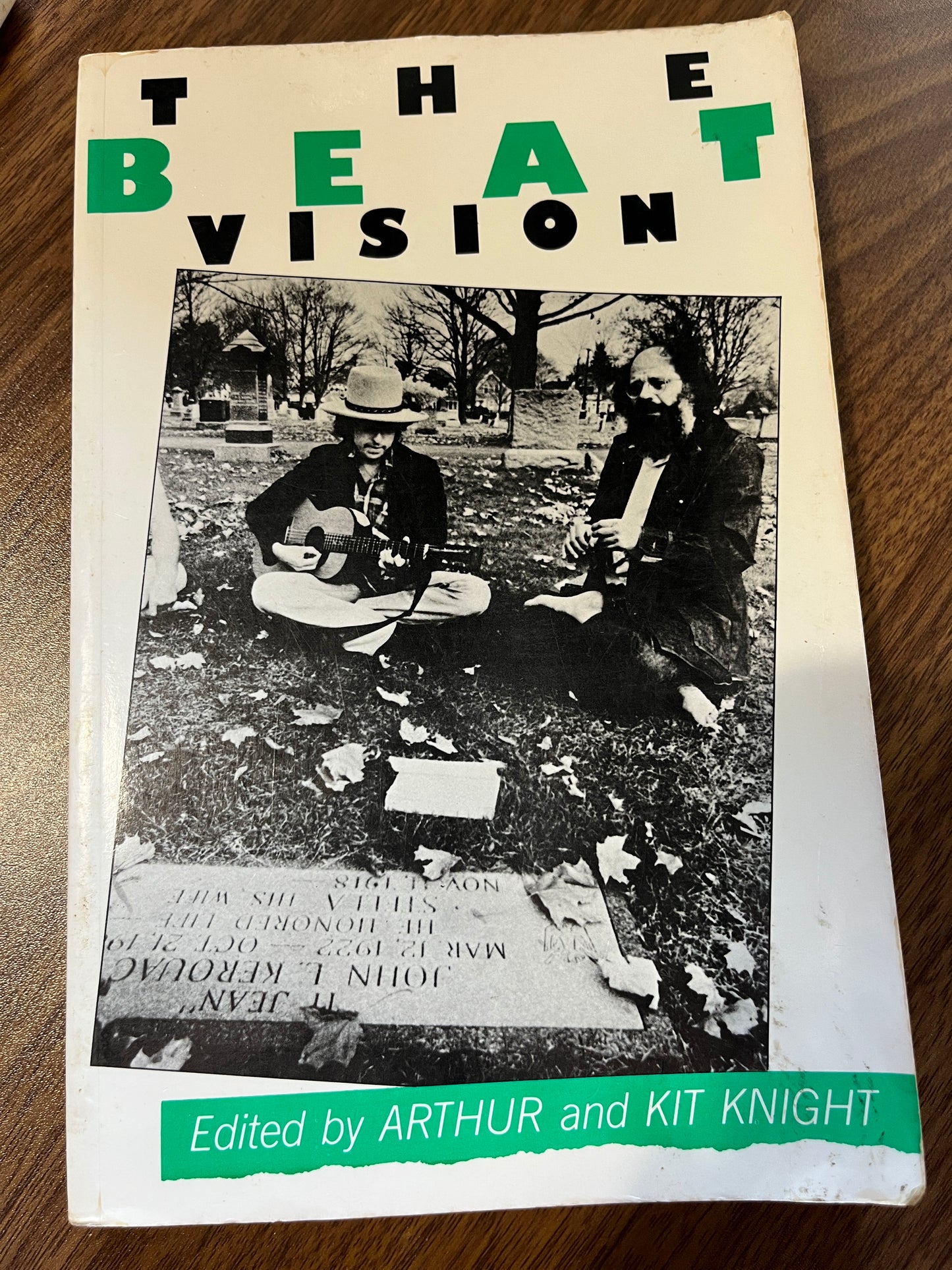The Beat Vision by Arthur and Kit Knight